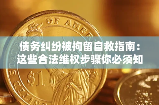 济南债务纠纷被拘留自救指南：这些合法维权步骤你必须知道！