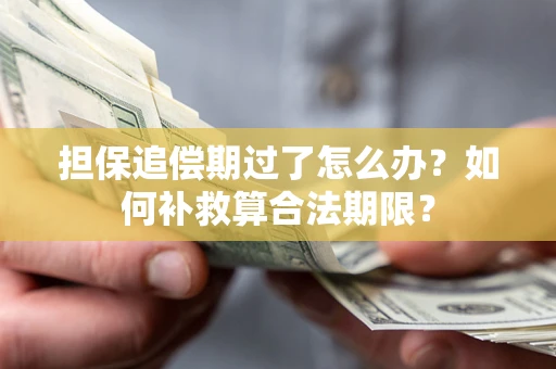 济南担保追偿期过了怎么办？如何补救算合法期限？